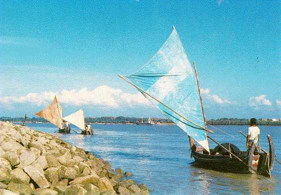 boats on a river