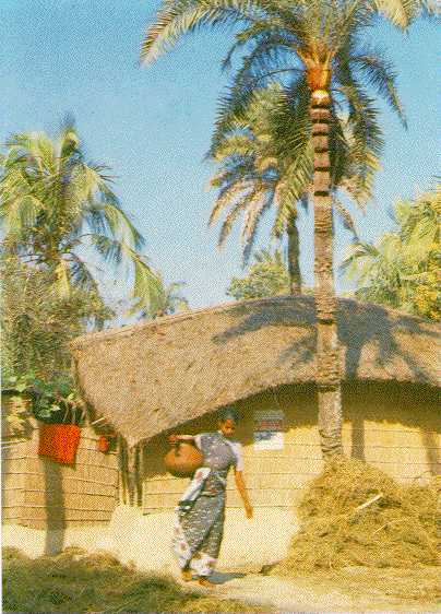 women in village