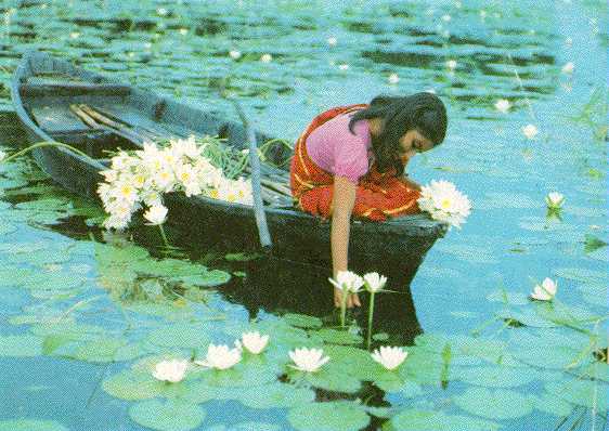 girl with water-lily